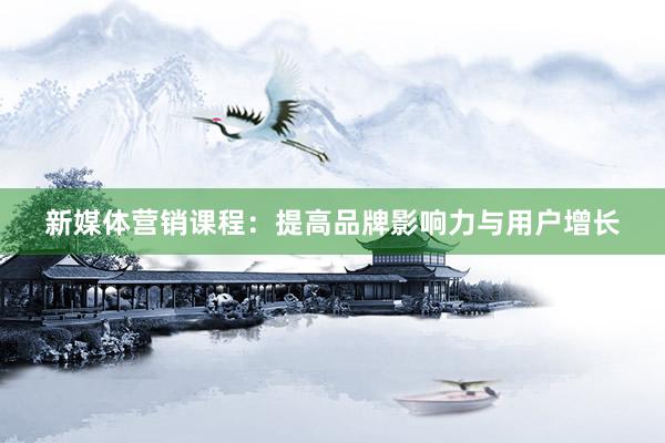 新媒体营销课程：提高品牌影响力与用户增长